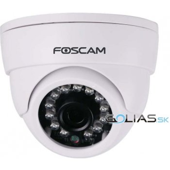 Foscam FI9851P