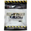 Hi Tec Whey Mass Builder 3000 g
