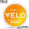 VELO 4dots Tropical Mango 14