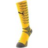 Puma Team ftblNXT Socks