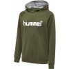 Hummel Hummel Cotton Logo Hoody Kids 203512-6084