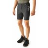 Pánske kraťasy Regatta MOUNTAIN II tmavo šedá XXL
