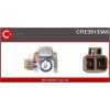 REGULATOR ALTERNATORA