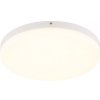 Globo 12387-24W