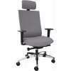 DENIOS kancelárska stolička AdJust evo, Syncro-Evolution-Technik, AL opora nôh-kruh a krku, sivá
