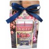 Nohel Garden COOKIES Cherry 130g