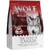 Wolf of Wilderness 