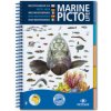 MEDTERREAN MARINE PICTOLIFE (DRAY - F. REBUFAT)(Brožovaná)