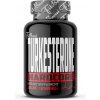 Turkesterone Hardcore 100 kaps. FitBoom