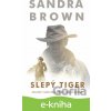 E-kniha Slepý tiger - Sandra Brown