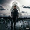 Juice Wrld - Fighting Demons / Vinyl / 2LP [2 LP]