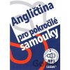 Angličtina pro pokročilé samouky - Ludmila Kollmannová