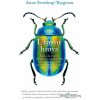 Úžasný hmyz - Anne Sverdrup-Thygeson - online doručenie