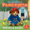 Adventures of Paddington: Hatching Chicks (HarperCollins Children’s Books)(Brožovaná)