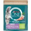Purina ONE GK BIFENSIS Sensitive s morcacim a rýží 0,8 kg