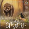 Ahoj, strach! - Iryna Zelyk, Viktoria Radushynska (ilustrátor)