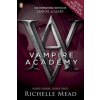 Vampire Academy (book 1)