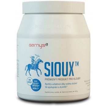 Barny's MSM Sioux 600 g