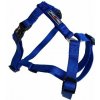 Postroj Gimborn Nylon H 2,0x50-70cm modrý