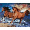 Diamondi Diamantové maľovanie - KONE NA PIESOČNEJ PLÁŽI (HOWARD ROBINSON) Rámovanie: bez rámu a bez vypnutia plátna, Rozmer: 40x50 cm