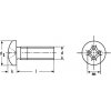 skrutka M6x30 ZINOK 4.8 polguľatá hlava krížová drážka PH DIN 7985 [1 ks]