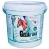 Orling Gelapony VitaMin 10,8 kg