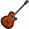 Washburn Festival EA55G