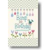 Bump to Birthday, Pregnancy & First Year Journal (from you to me,Helen Stephens)(Pevná)