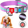 Textilný obojok pre psa svietiaci Waudog, veľkosť S