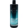 Tigi Catwalk Oatmeal & Honey Nourishing Conditioner 750 ml