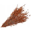 Sušená tráva Borza - Princess Grass 100g - oranžová