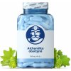 Alchemilka obyčajná 60ks Dr. LUCULLUS