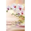 DIMEX fototapeta Biela orchidea MS-2-0147 - 150 x 250 cm (150g VLIES - LEPIDLO ZADARMO)