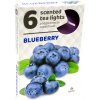 Admit Tea Lights Blueberry 6 ks