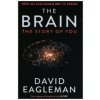 David Eagleman - Brain