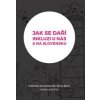 Jak se daří inkluzi u nás a na Slovensku? (Radek Vorlíček)