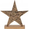 Eglo | Eglo 427115 - Vianočná dekorácia BALIGUIAN 21x20,5 cm hviezda/zlatá | EG427115