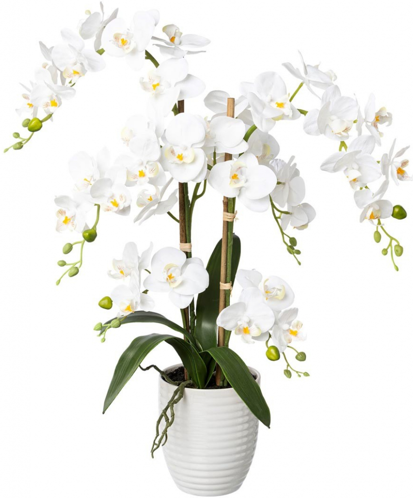 Umelá orchidea phalaenopsis 67 cm biela v keramickom kvetináči 13 x 15 cm Real Touch