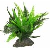 Lucky Reptile Fern 25 cm