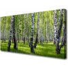 Obraz na plátne Les príroda 100x50 cm
