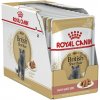 Royal Canin Cat British Shorthair Adult 12 x 85 g