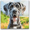 Vymalujsisam.sk Maľovanie podľa čísiel - Doga Veľkosť: 50x50cm, Rám: Bez rámu, iba zrolované plátno