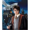 Norimpex 780720 5D Diamantová mozaika Harry Potter