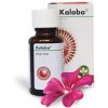 Kaloba gtt.por.1 x 50 ml