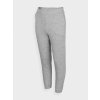 4F HJZ22-JSPDD002 COLD LIGHT GREY MELANGE Detské tepláky EU 140 GREY M