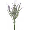ZELEŇ LEVANDUĽA FIALOVÁ 30CM
