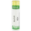 Sulfur gra.1 x 4 g 5CH
