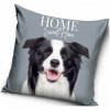 Carbotex · Dekoračný vankúš Šteňa Border kólie - 40 x 40 cm