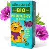 Allnature BIO Priedušky so zlezom 20 x 1,5 g
