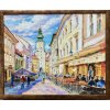 Ján Moniš Bratislava 15